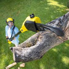 Best Emergency Tree Removal  in Hallsville, TX